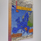 Marko Ruonala : EU-basfakta - pikkukuva 1