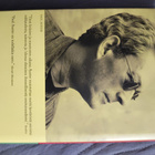 Paul Auster: Sunset Park - pikkukuva 2