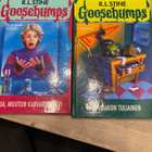 Goosebumps kauhukirjat paketti (4 kpl) KOVAKANTISET - pikkukuva 4