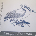 2FDC Makedonia 1995: luonnonsuojelu - pikkukuva 4