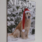Nuusku 4/2015 - pikkukuva 1