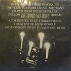 UNHOLY VAMPYRIC SLAUGHTER SECT - CANTICLE BOUND.. - M/M LP - pikkukuva 2