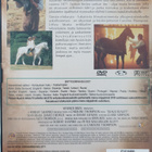 BLACK BEAUTY URHEA MUSTA DVD - pikkukuva 2