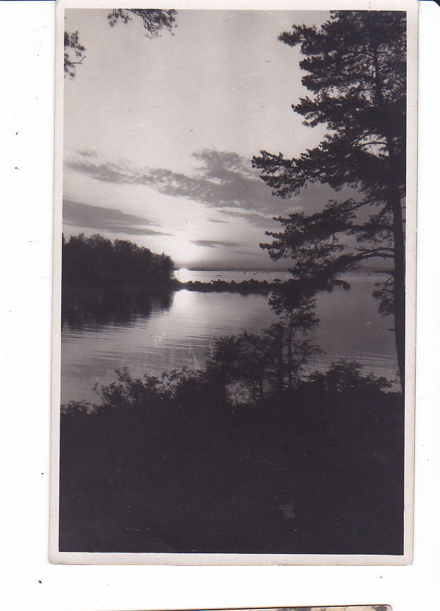 VANHA Postikortti Savonlinna Tanhuvaara 1931