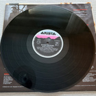 Roger McGuinn: Back from Rio LP - pikkukuva 5