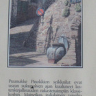 4:n nuortenkirjan paketti - pikkukuva 2