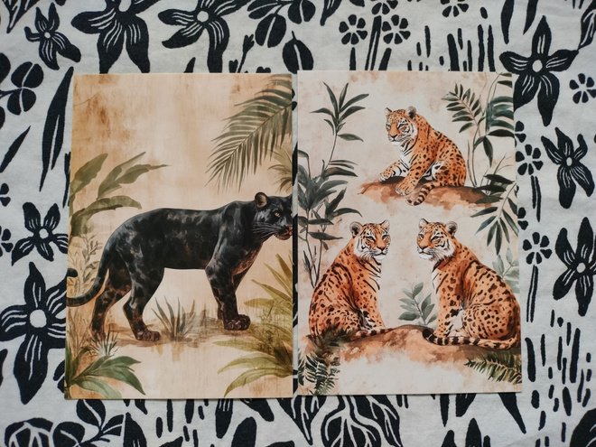~Eläin kortti~ 2kpl