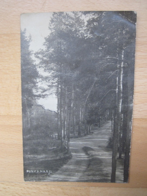 VANHA Postikortti Punkaharju 1924