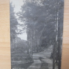 VANHA Postikortti Punkaharju 1924 - pikkukuva 1