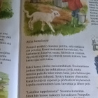 Saro De La Iglesia: Ihanat eläinystävämme - pikkukuva 4