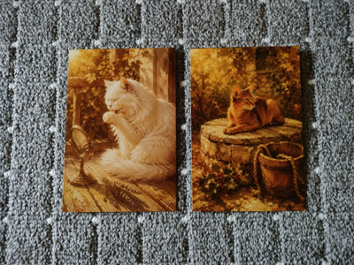 ~Kissa kortti~ 2kpl