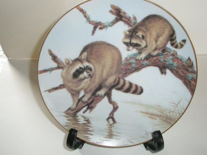 THE FOREST YEAR, RACCOONS ON A MARCH ADVENTURE