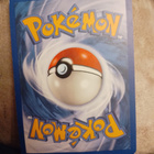 Torchic 77/97 EX Dragon card - pikkukuva 2