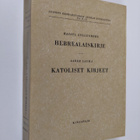Suomalainen Uuden testamentin selitys 10-11 : Hebrealaisk... - pikkukuva 1