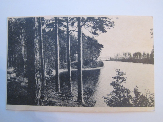 VANHA Postikortti Punkaharju 1923