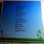 FLAMINGO ROCKS (LP) - pikkukuva 2