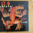 D.I. – What Good Is Grief To A God (PUNK , LP, 1988, RARE) - pikkukuva 1