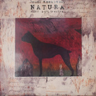 JOUNI KOSKIMÄKI, JYVÄSKYLÄN BIG BAND :: NATURA :: VINYYLI LP - pikkukuva 1