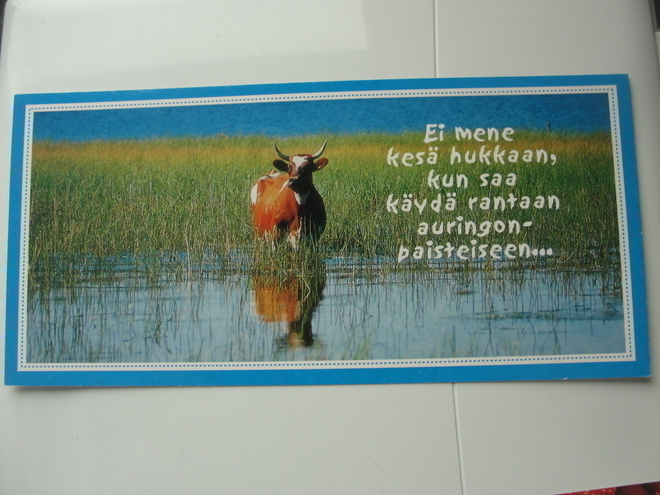 NO 3866   -  ei mene kesä - kortin koko = 10 x 22 cm