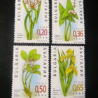 Bulgaria 2003: kasveja - pikkukuva 1
