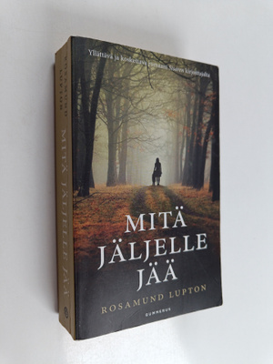 Rosamund Lupton : Mitä jäljelle jää