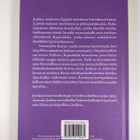 Mari Mörö : Joeliinan karavaanikomppi - pikkukuva 2