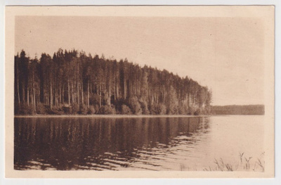 Punkaharju