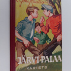 Joni Rautio : Järvi palaa : kertomus pojista pojille - pikkukuva 1