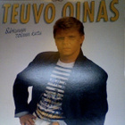 TEUVO OINAS :: SÄRKYNEEN TOIVEEN KATU :: VINYYLI LP 1988 - pikkukuva 1
