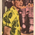 Purkkakuva S. n:o 110 MONTGOMERY CLIFT - pikkukuva 1