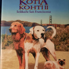 KOTIA KOHTI 2 SEIKKAILU   SAN FRANCISCOSSA DVD - pikkukuva 1