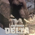 Okavanga Delta - Wildlife Paradise  -  DVD - pikkukuva 1