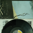 Pushtwangers - Here We Go Again vinyyli lp - pikkukuva 2