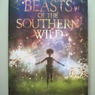 Beasts Of The Southern Wild DVD - pikkukuva 1