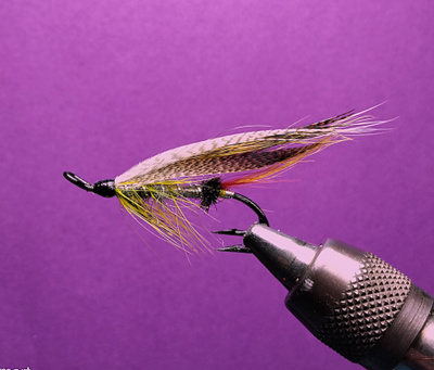 Lohiperho Lemon Grey # 4 d lw
