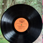 The Best Of The Clancy Brothers & Tommy Makem Vinyyli LP - pikkukuva 3