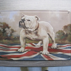 PELTITAULU BULLDOG KOIRA - pikkukuva 2