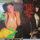 24 Cheesecake-vinyylilevyn paketti (sexy, nuda). Osa 1 - pikkukuva 4