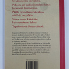 Anne Soukkalahti : Lupausten kääretorttu - pikkukuva 2