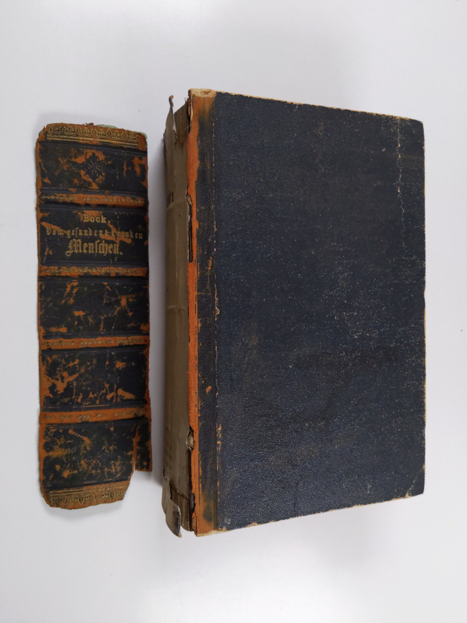 Carl Ernst Bock : Das Buch vom gesunden und kranken Menschen