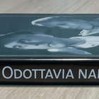 Ingmar Bergman: ODOTTAVIA NAISIA (1952) - pikkukuva 3