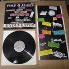LITTLE STEVEN VOICE OF AMERICA LP - pikkukuva 2