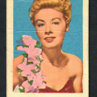 Keräilykuva - Vera Ellen P 28 - pikkukuva 1