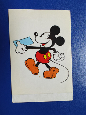 DISNEY TARRAKUVA
