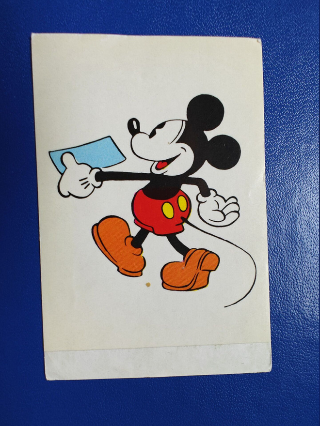 DISNEY TARRAKUVA