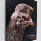 Epica Book 25 : Europe's Best Advertising - pikkukuva 1
