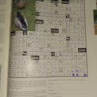 Metsästys ja kalastus 11/2006 - pikkukuva 4