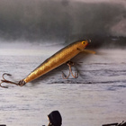 Rapala salmiakki foliolla - pikkukuva 5