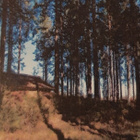 Talviasuttava mökki ja iso tontti (2970 m²) Karijoella - pikkukuva 3