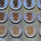 Hopeakolikko 25 x 1 Oz Unssi Canada Maple Leaf 2012 999.9 - pikkukuva 4
